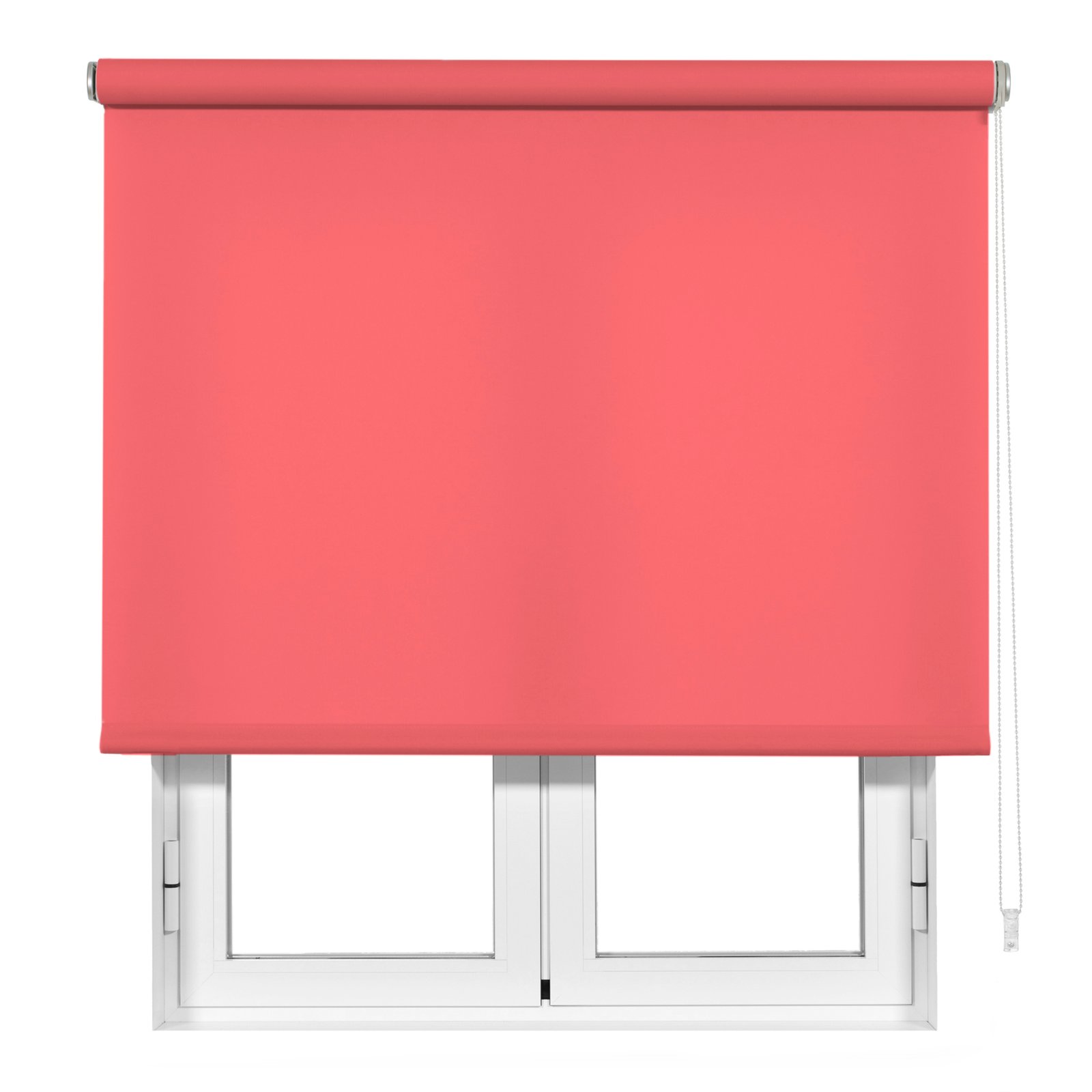 2 TRENDS CORAL 8427731045995_2