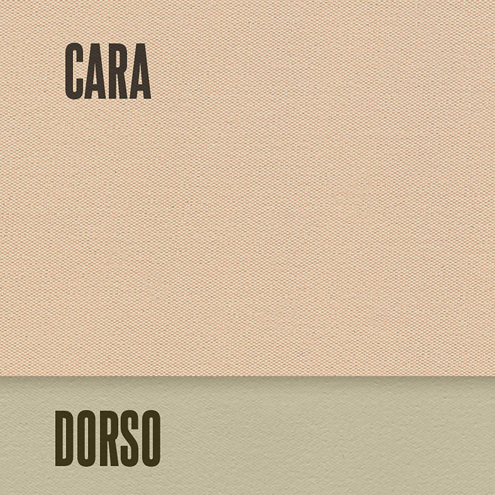 5 OPACO APRICOT 8427731036542_5