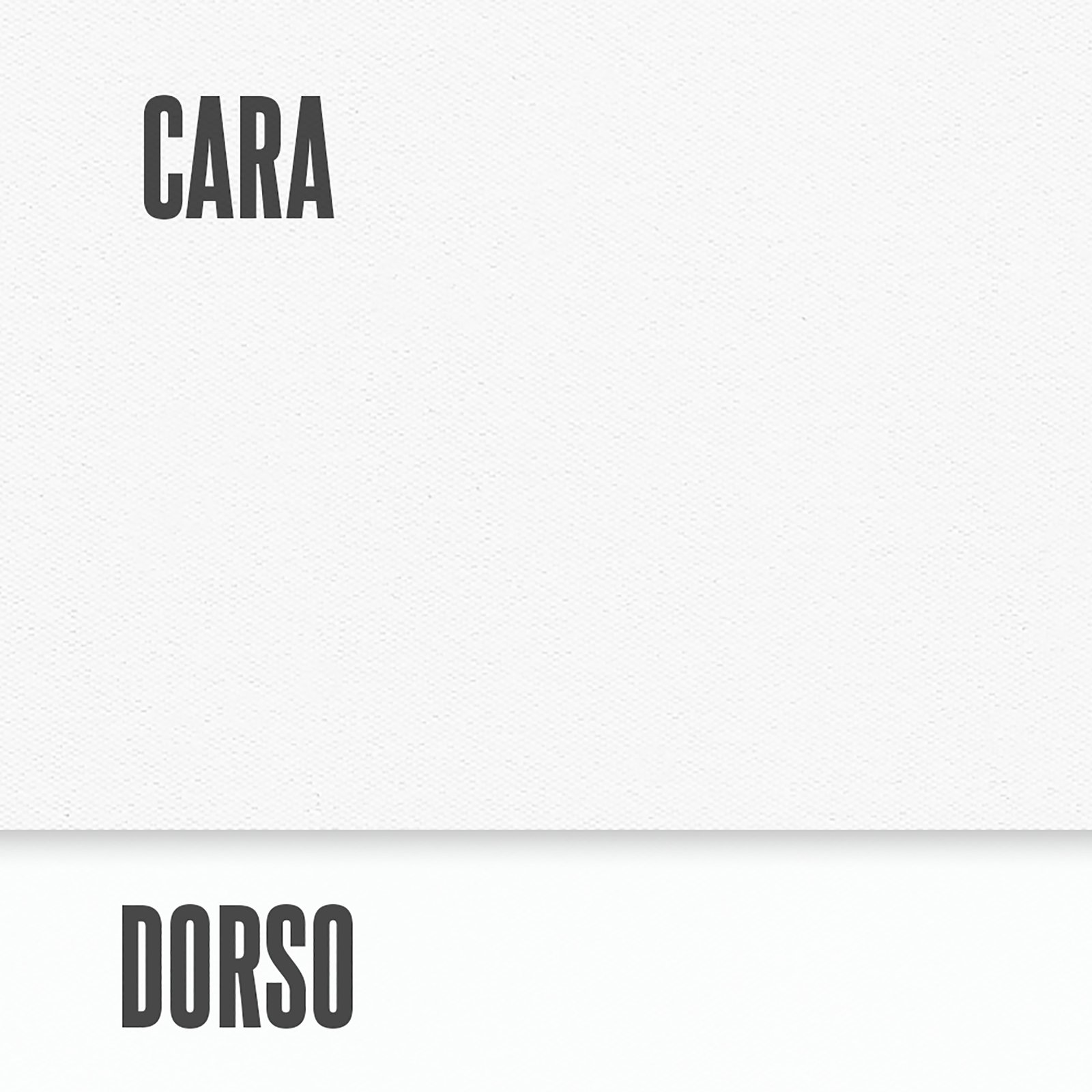 5 OPACO BLANCO 8427731036184_4